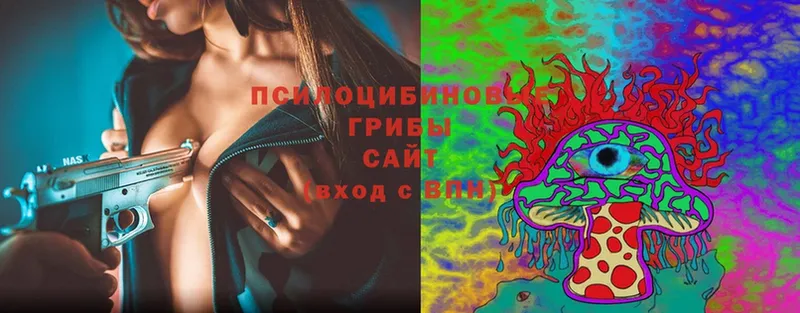 Галлюциногенные грибы Cubensis  Гай 